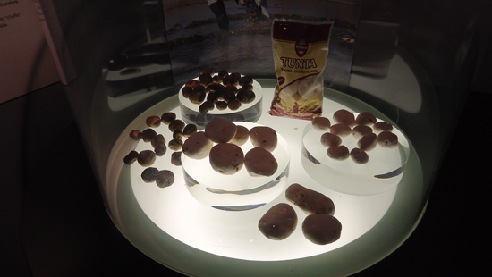 Frietmuseum Brugge, België