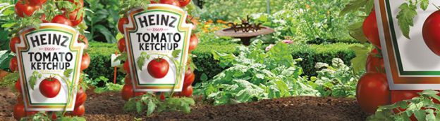 Heinz