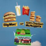 McDonald's Happy Meal Cactus Plant Flea Market Box
