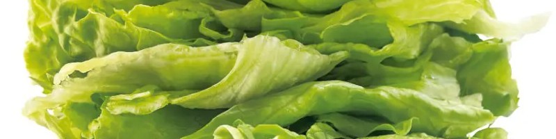 Japanse keten gaat viraal met ‘bijna alleen sla’-burger